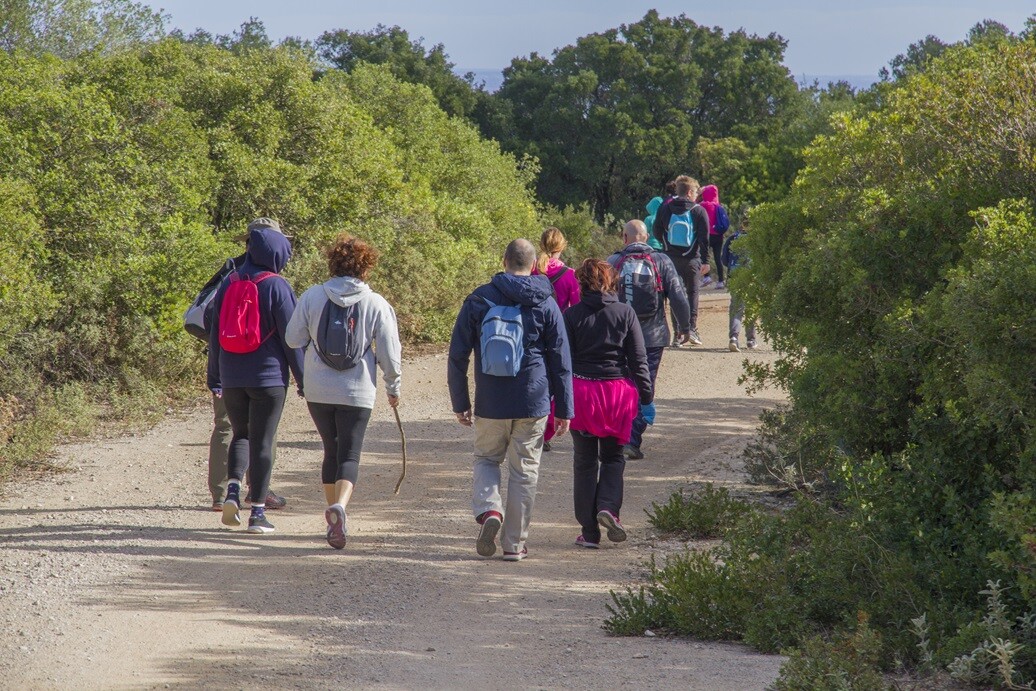 Caminhada gratuita “Encostas de Palmela e suas Serras” – 10 dezembro