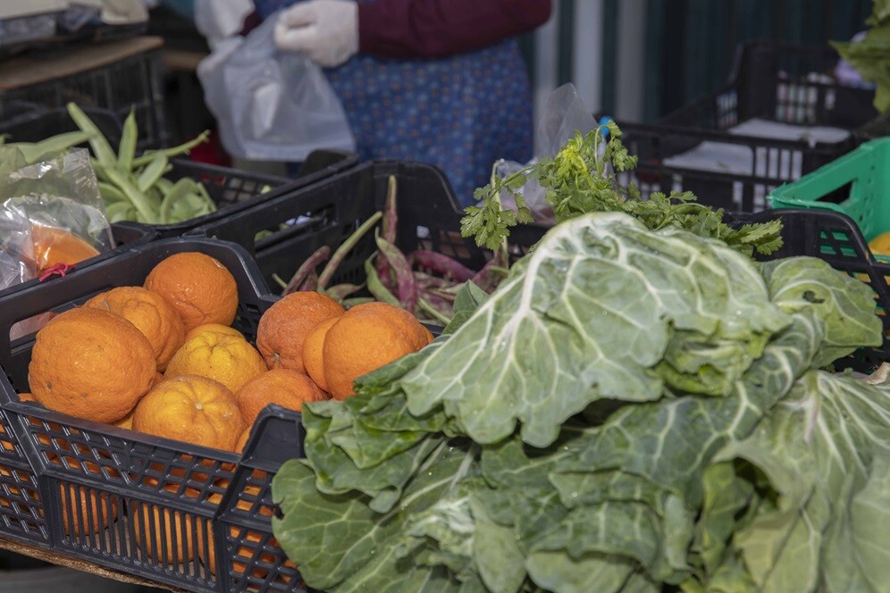 Mercados Municipais:  Regulamento em consulta pública até 30 de janeiro