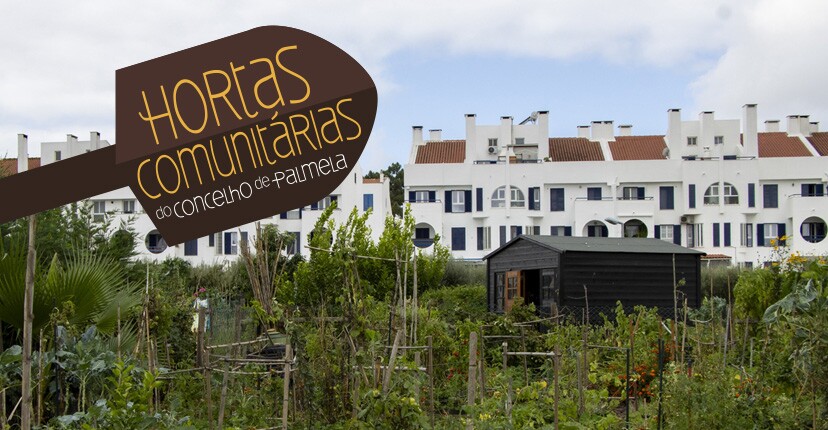 Horta Comunitária de Quinta do Anjo: adjudicada 2.ª fase de ampliação