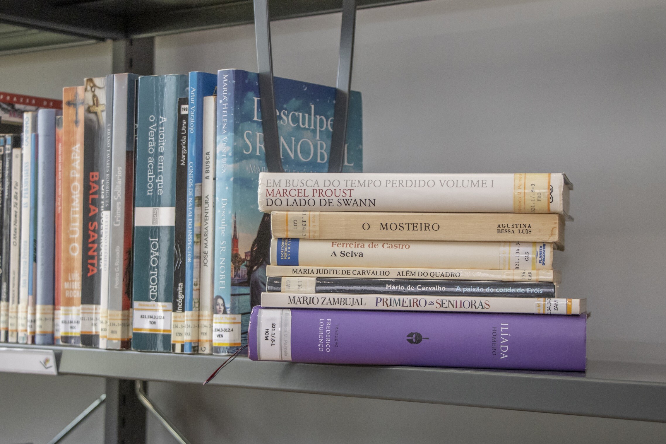 Palmela na Rede Metropolitana de Bibliotecas Públicas da AML