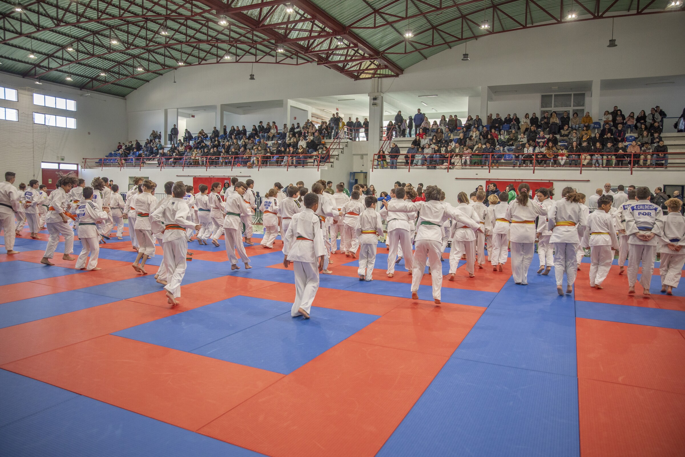 Jornadas da Juventude receberam 450 judocas no Pinhal Novo