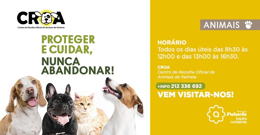 Quer adotar um animal de estimação? Visite o CROA de Palmela!