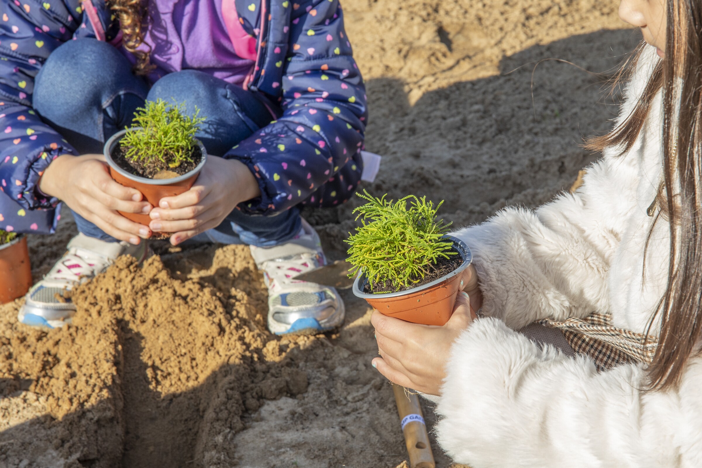 “Pinhal Novo Verde”: 2.ª fase avança com participação da comunidade escolar