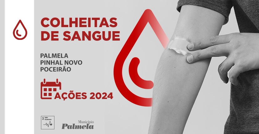 Colheitas de sangue: conheça o calendário anual aqui e participe!