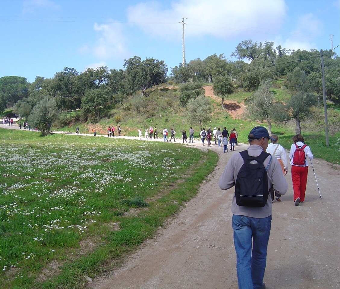 “Mexa-se em Palmela”: caminhe “De Cabanas à Serra de S. Francisco”!