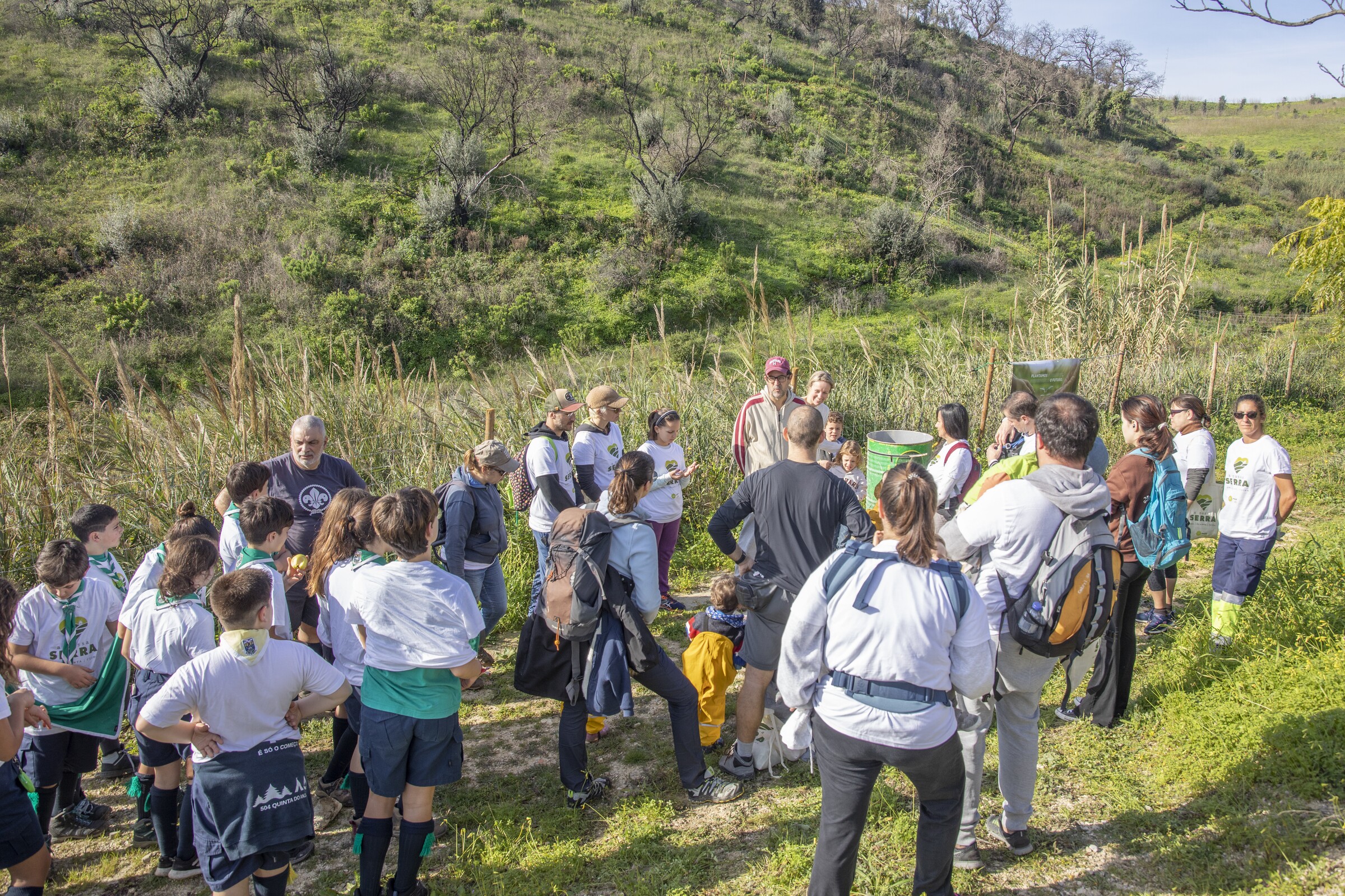 “A Nossa Serra”: voluntárias/os plantaram  cerca de 200 árvores