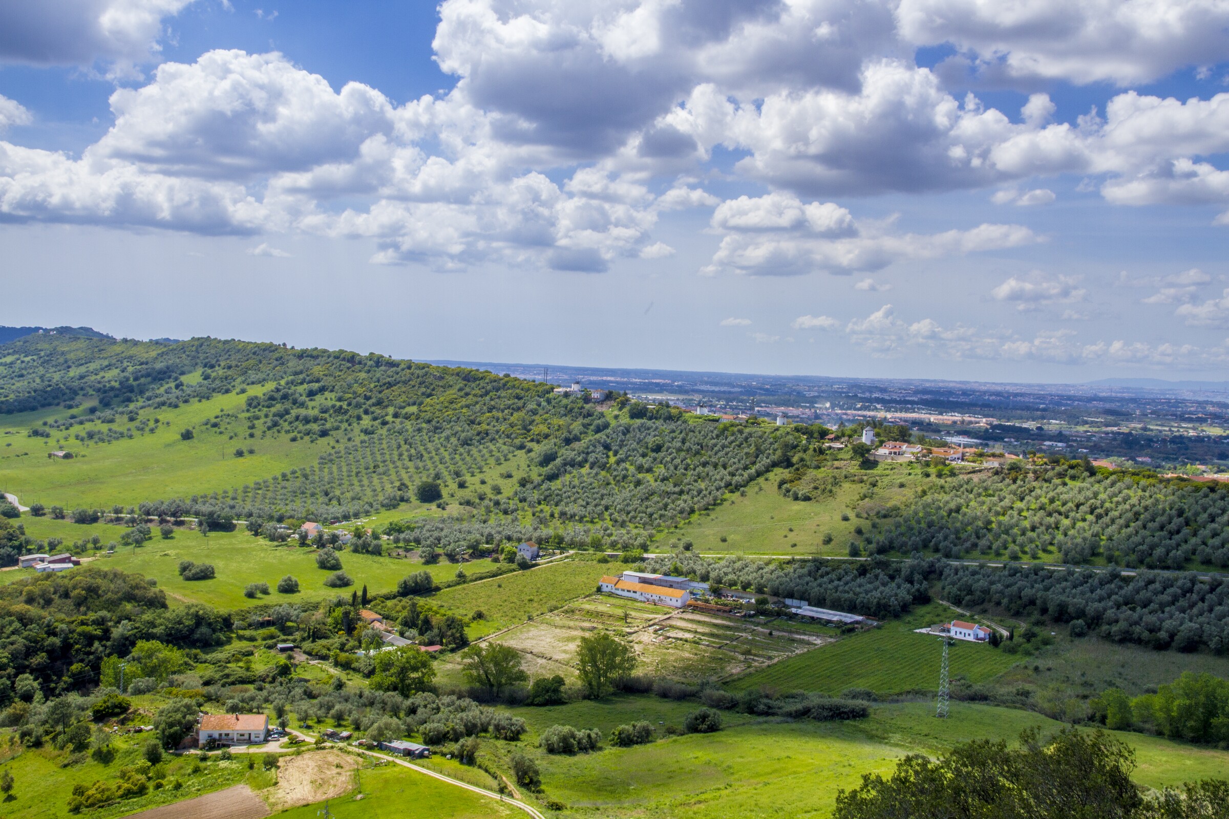 Município comprometido com neutralidade carbónica do Território Arrábida