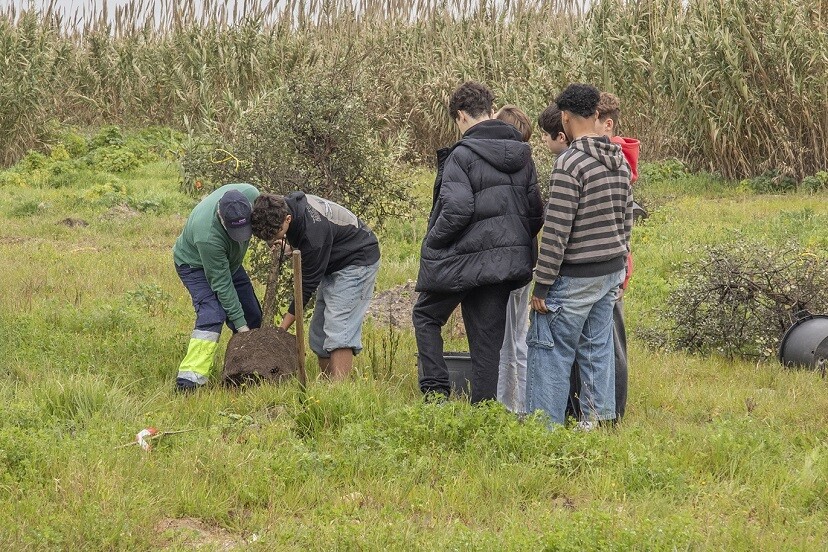 Plantação de mais 44 sobreiros contribui para futuro Parque Verde Urbano de Pinhal Novo