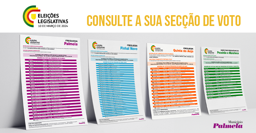 Eleições Legislativas 2024: consulte a sua secção de voto
