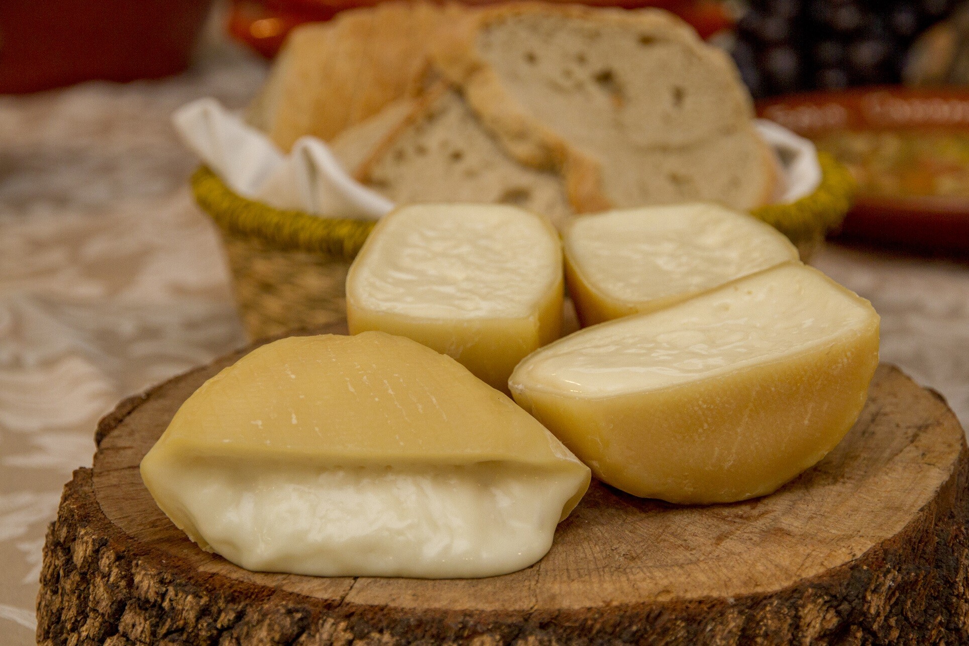 Município apoia 28.º Festival Queijo, Pão e Vinho  