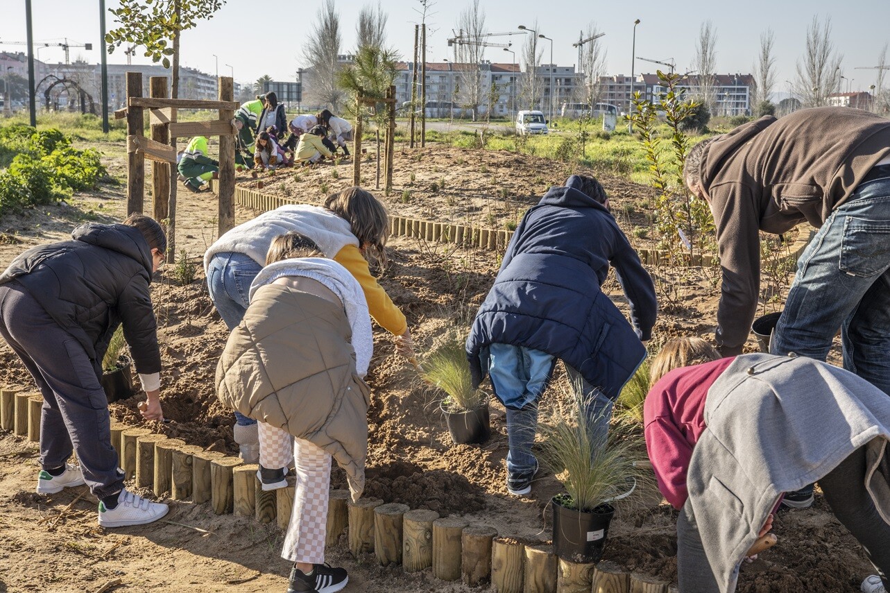 Município celebra Dia Mundial da Floresta com comunidade escolar e Mecenas