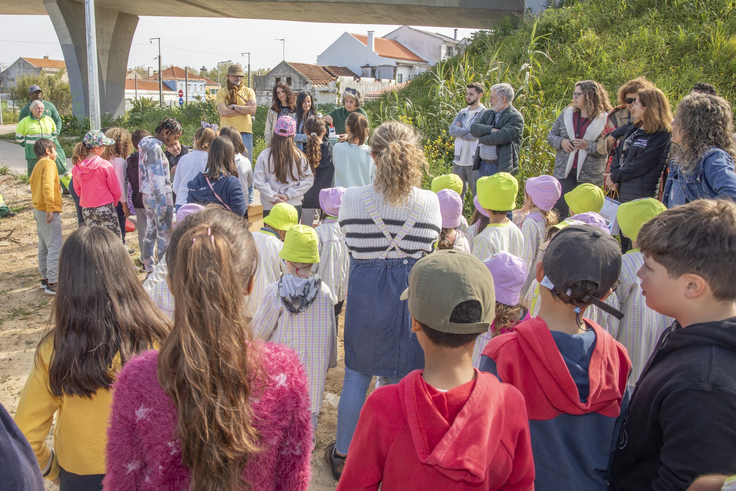 Dia Mundial da Floresta - crianças colaboram para um Pinhal Novo + verde!