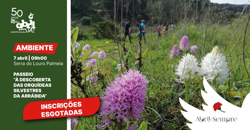 “À Descoberta das Orquídeas Silvestres da Arrábida” – inscrições esgotadas!