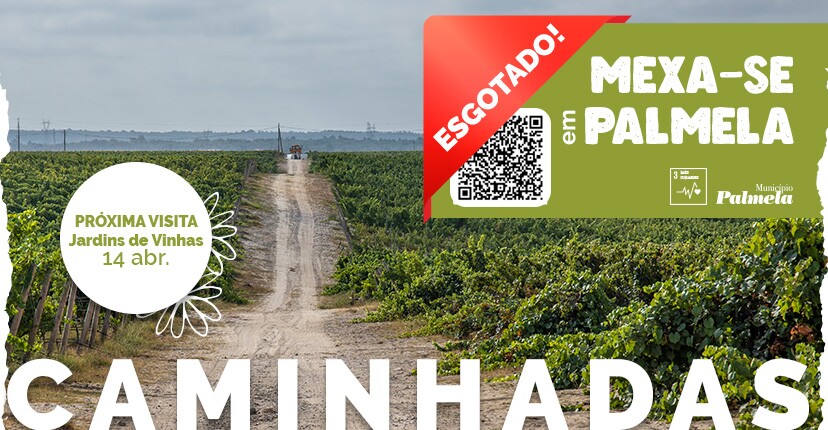 “Mexa-se em Palmela” - Caminhada “Jardins de Vinhas” com inscrições esgotadas