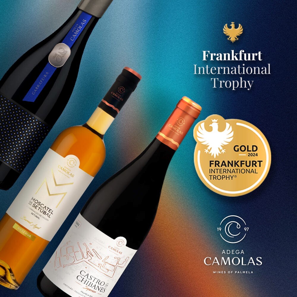 Vinhos da Adega Camolas conquistam Medalhas de Ouro