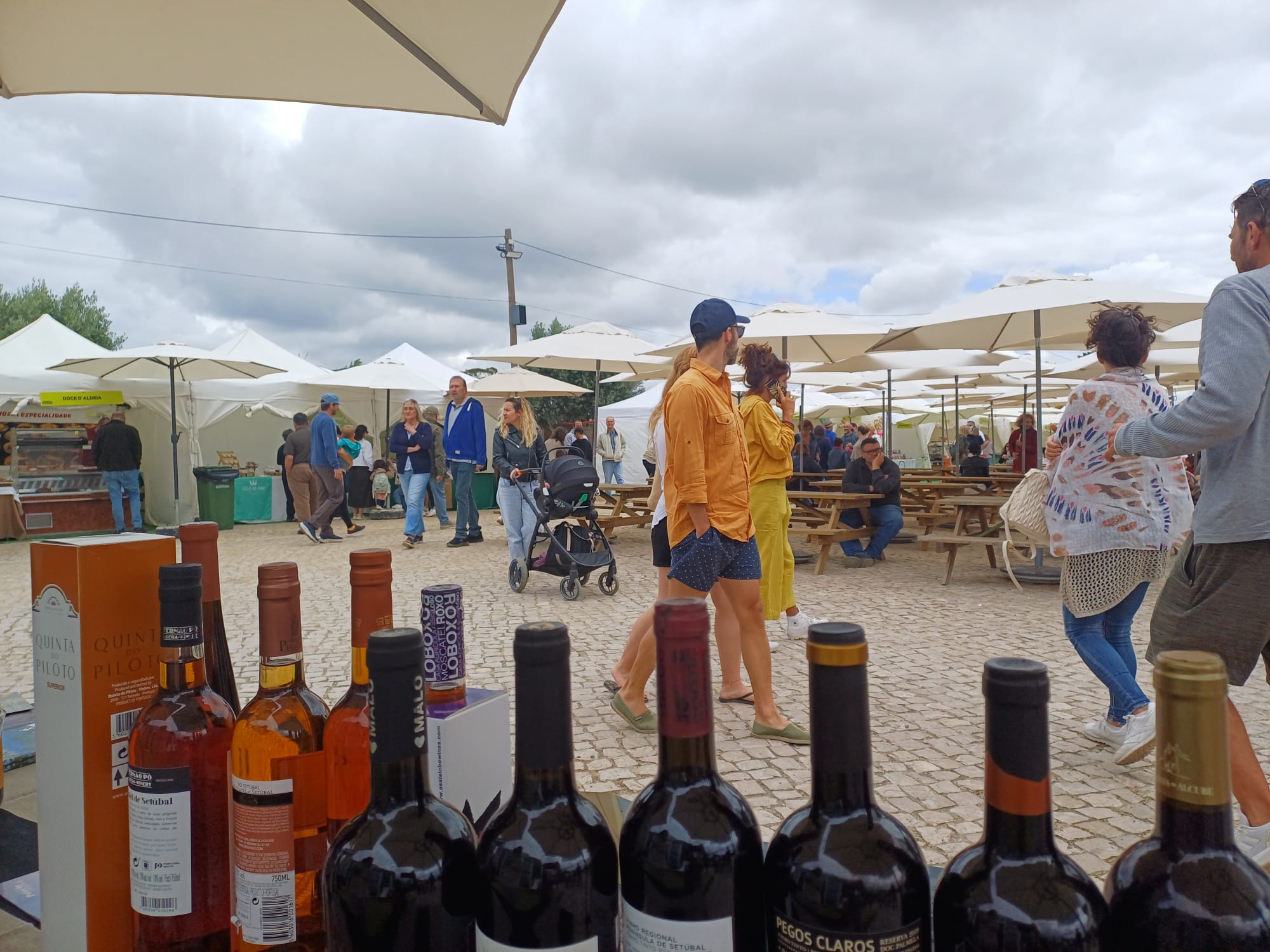 Palmela apresenta Enoturismo na “A Quinta na Moagem” - Sesimbra