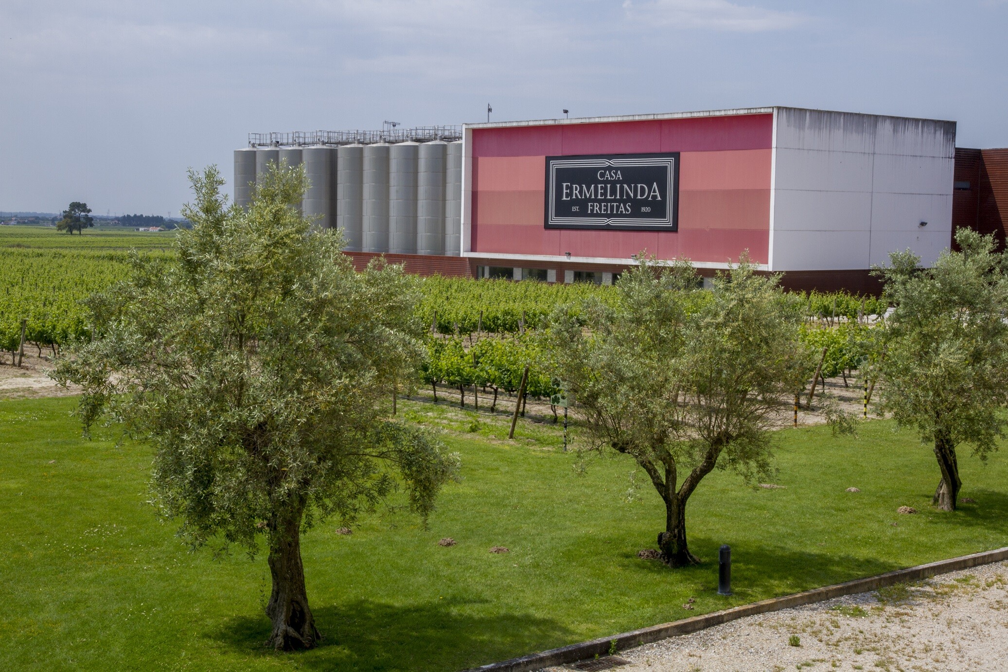 Vinhos da Casa Ermelinda Freitas conquistam Medalhas em França