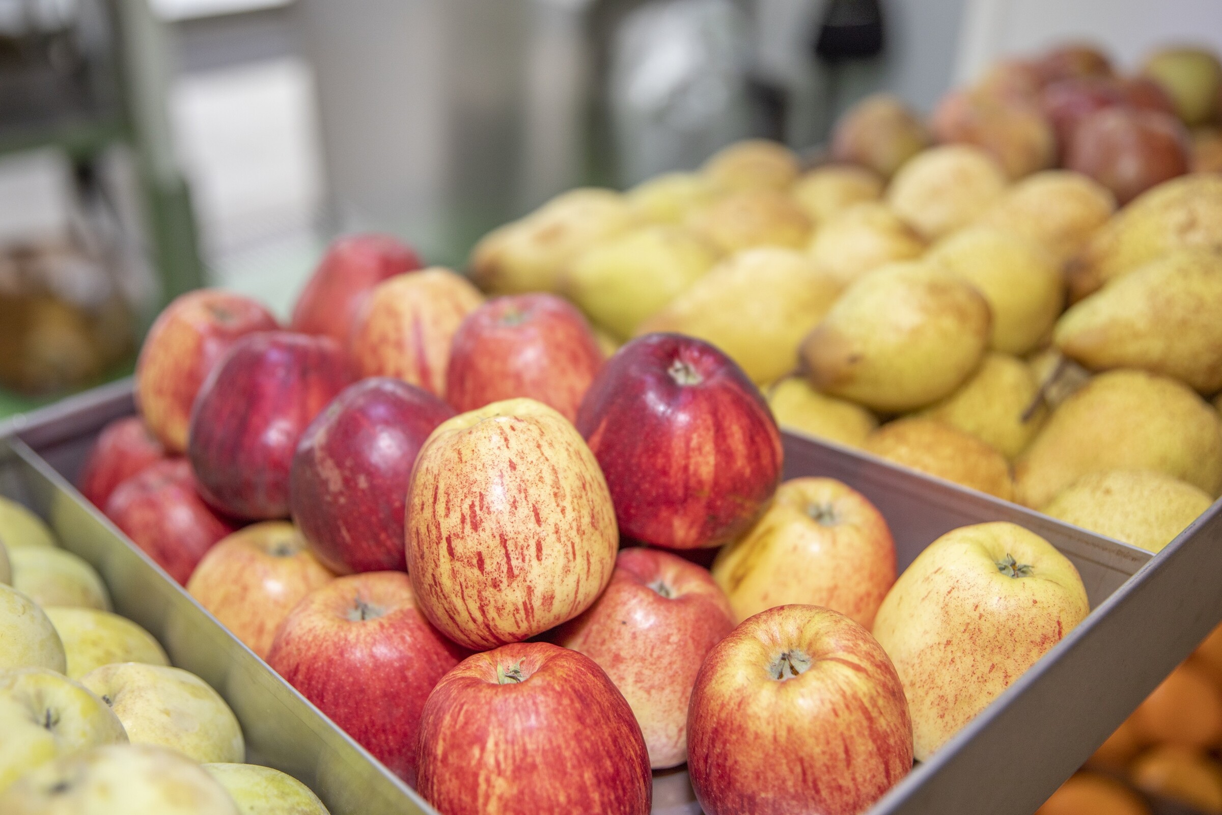 Mercados Municipais e de Produtores abertos no feriado de 1 junho