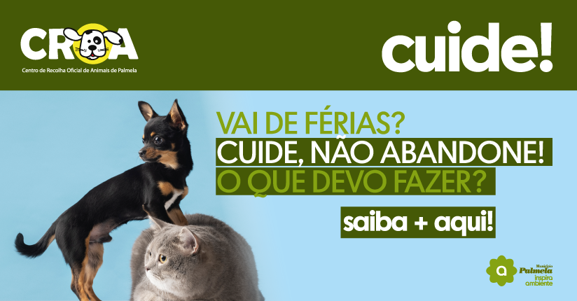 Vai de férias? Cuide do seu animal de estimação, não o abandone!
