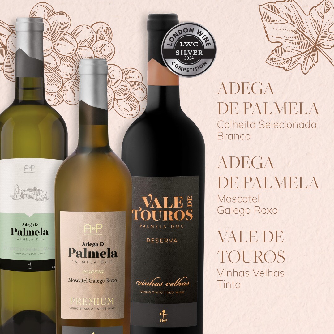 Adega de Palmela destaca-se nos concursos internacionais de vinhos