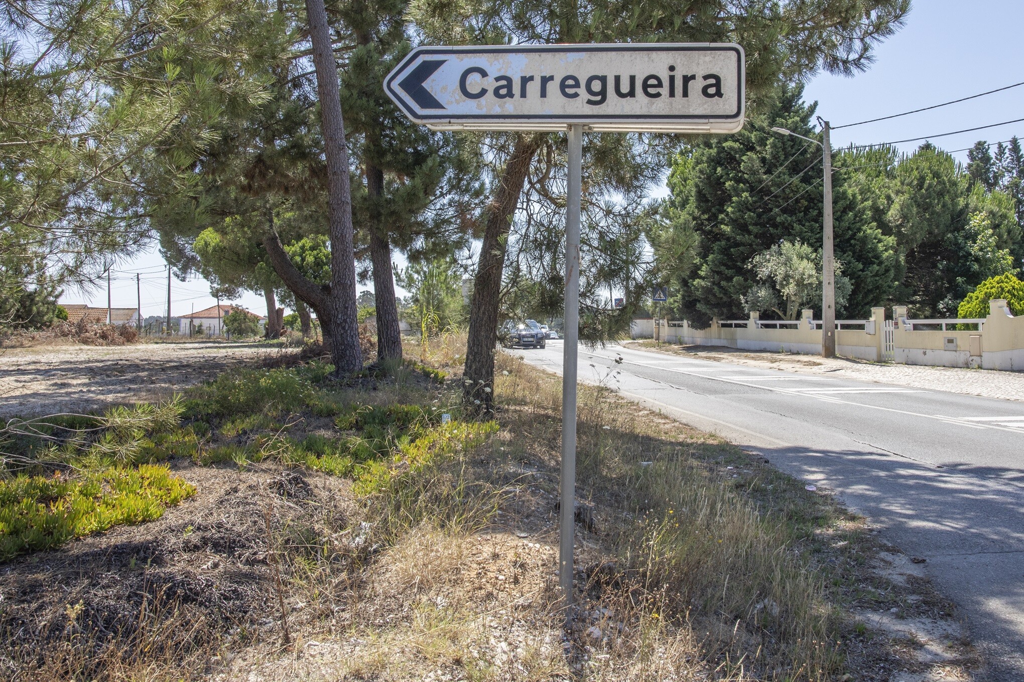 Rede de esgotos em concurso na Carregueira/Abreu Grande - Pinhal Novo