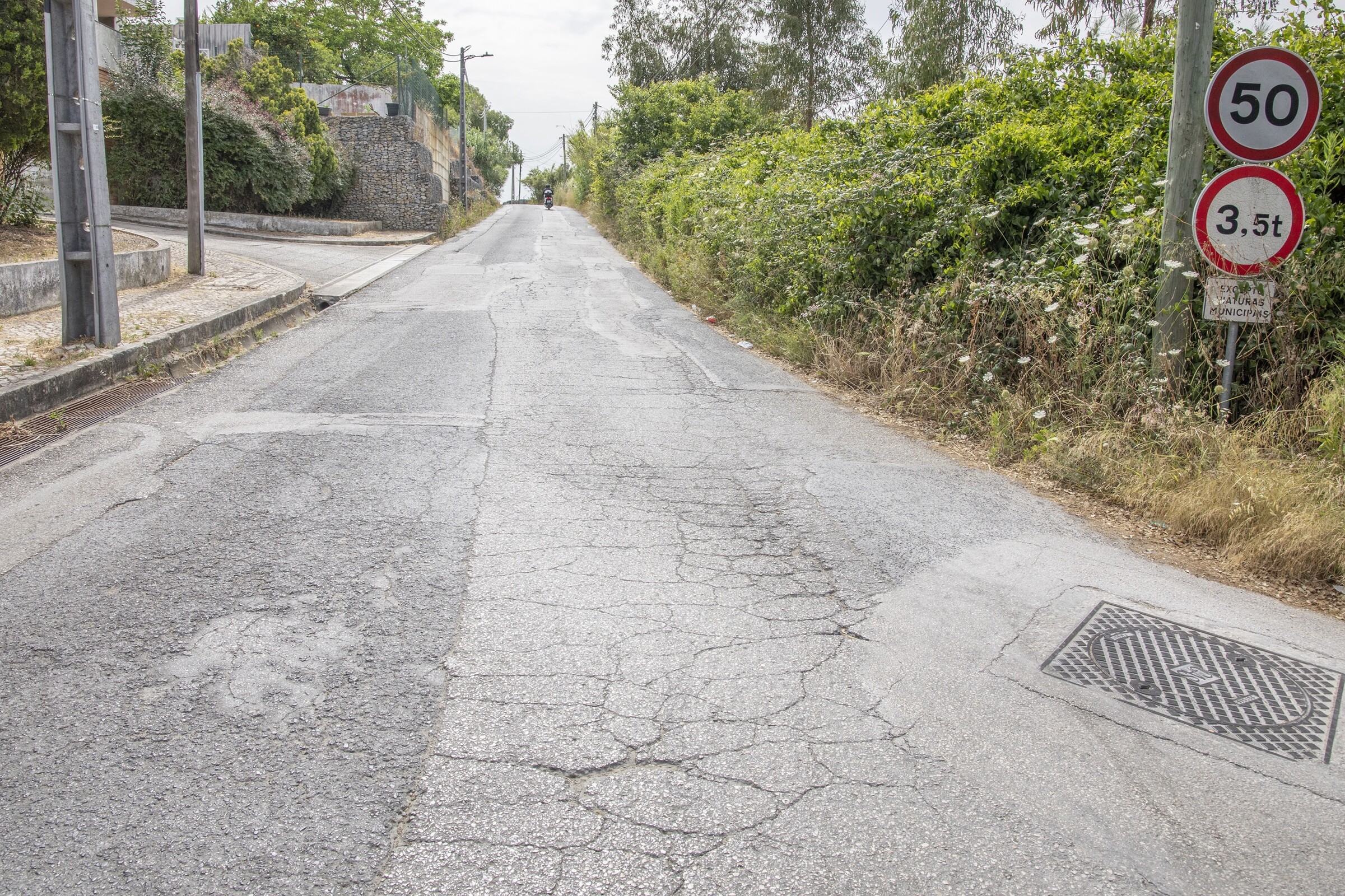 Adjudicada repavimentação da Estrada dos Carvalhos/Palmela