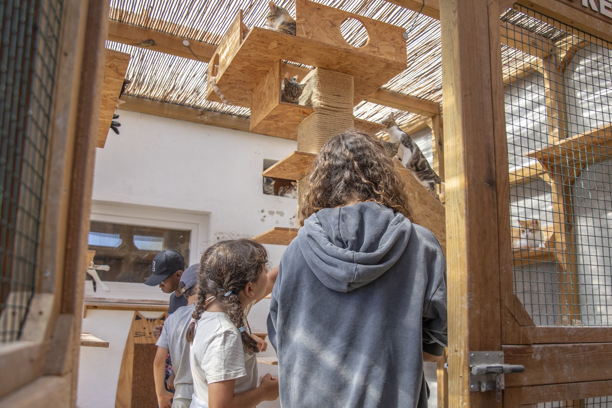 Visita ao CROA de Palmela sensibiliza crianças para bem-estar animal