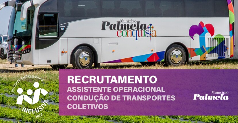 Recrutamento de Assistente Operacional - Condução de Transportes Coletivos Candidaturas até 6 de ...