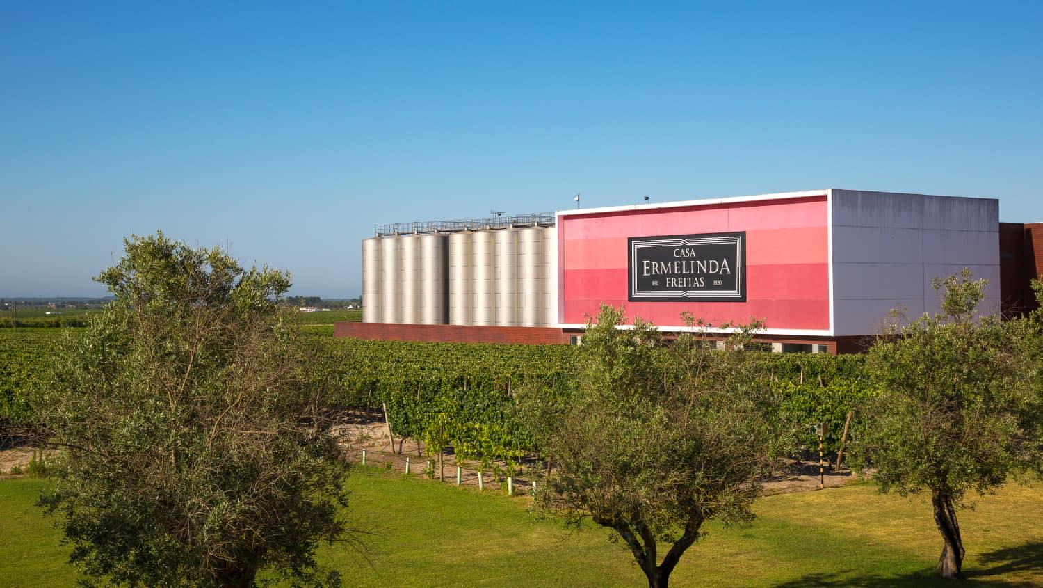 Citadelles Du Vin 2024 - Vinhos da Casa Ermelinda Freitas premiados com Medalhas de Ouro