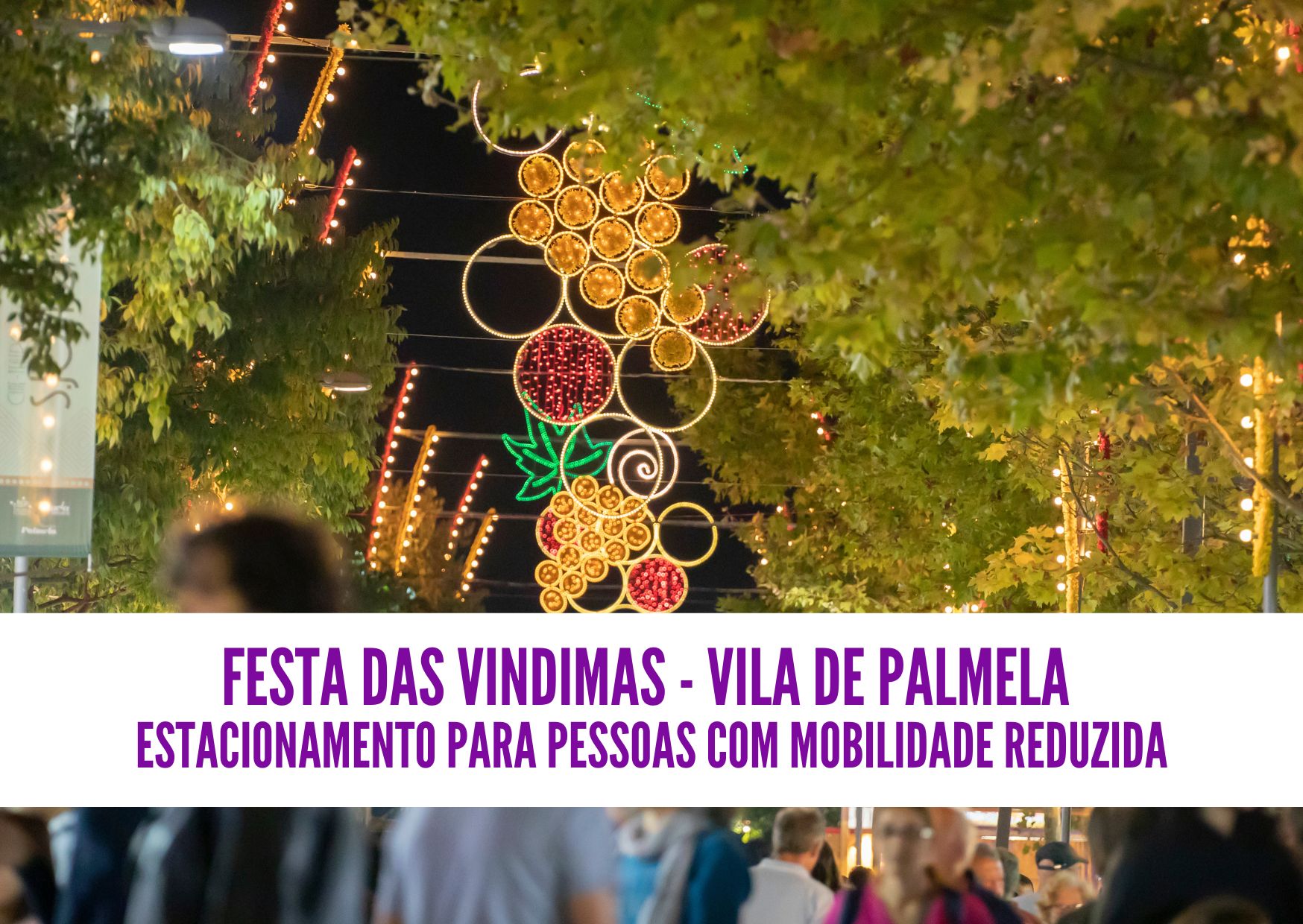 Cidadãs/ãos com mobilidade reduzida com estacionamento na Festa das Vindimas