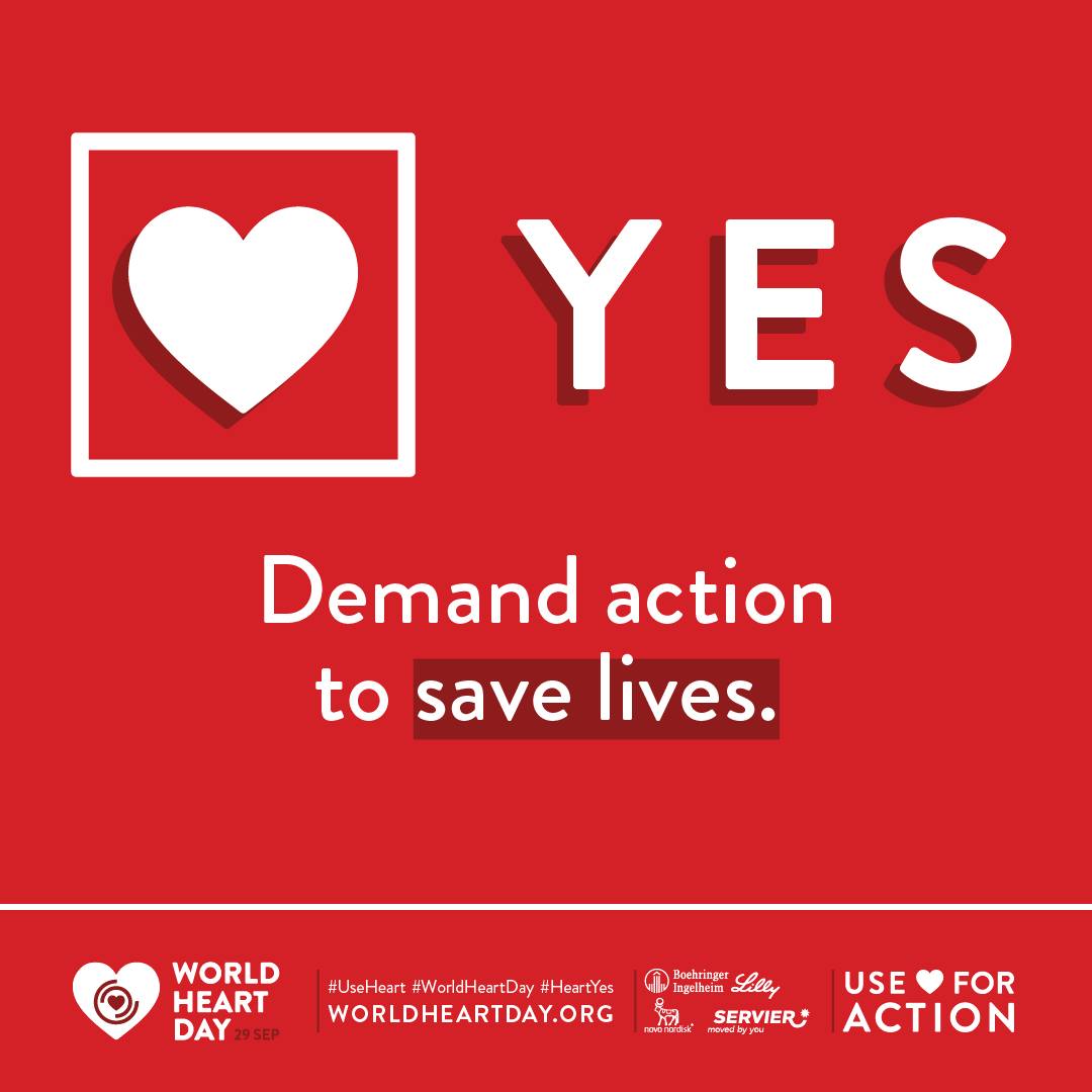 Biblioteca de Palmela ilumina-se de vermelho para assinalar Dia Mundial do Coração