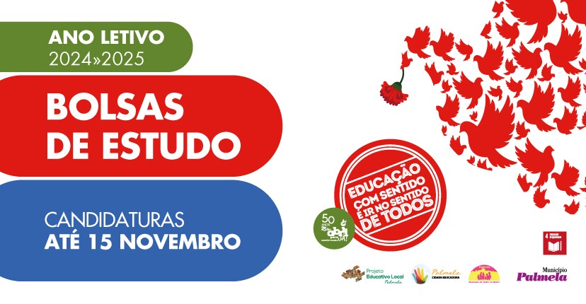 Bolsas de Estudo 2024/2025: candidaturas até 15 novembro