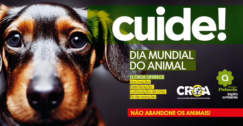 Dia Mundial do Animal - Cuide e não abandone!