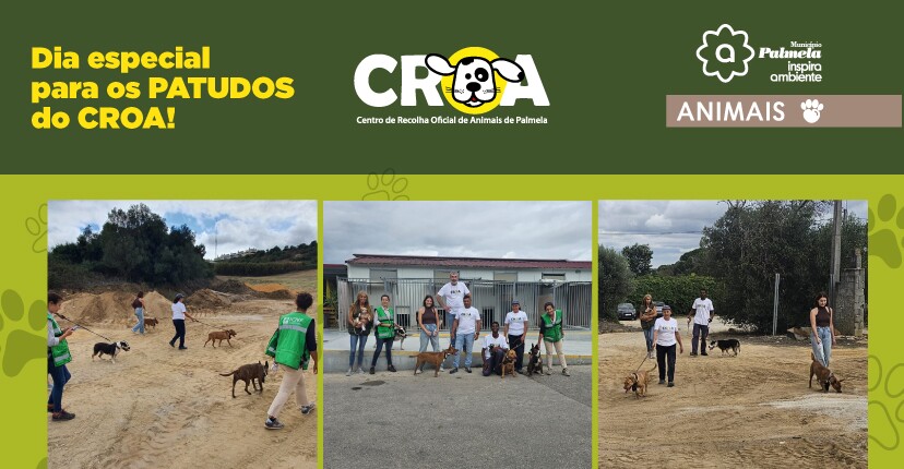 Patudos do CROA de Palmela viveram dia especial!