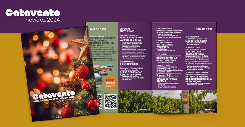 Catavento novembro/dezembro: em contagem decrescente para o Natal disfrute das nossas sugestões!