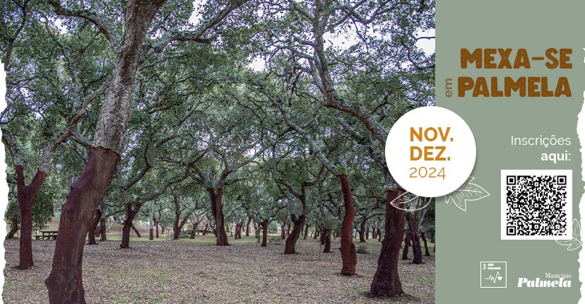 “Mexa-se em Palmela”: inscreva-se nas últimas caminhadas do ano!