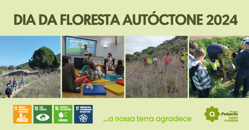 Dia da Floresta Autóctone - Mais de duas centenas de pessoas participaram nas comemorações 2024