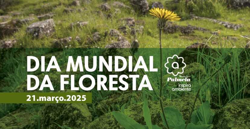 Palmela comemora Dia da Floresta com caminhadas e plantação de árvores