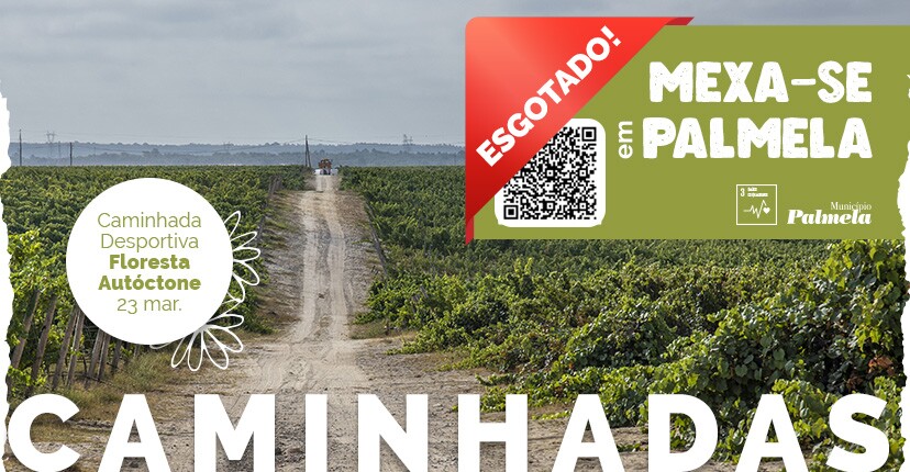 “Mexa-se em Palmela”: Caminhada “Floresta Autóctone” esgotada - inscreva-se já para abril!