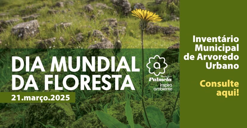 Já pode consultar o Inventário Municipal de Arvoredo Urbano!