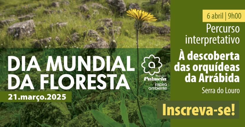 “À Descoberta das Orquídeas da Arrábida” – inscrições a decorrer