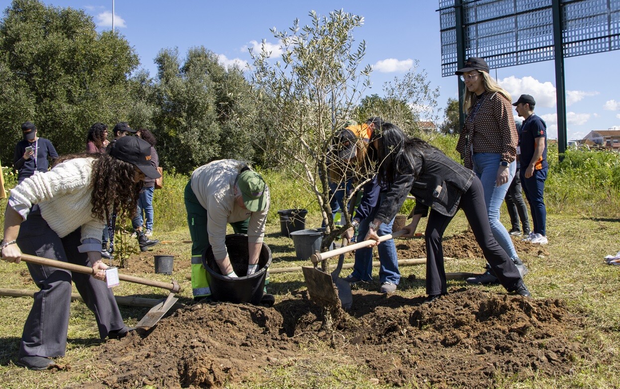 Pinhal Novo Verde: Plantação de árvores assinala Dia da Floresta