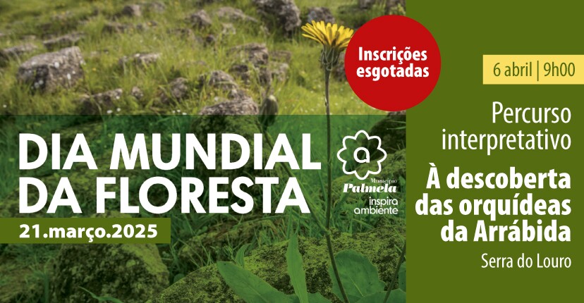 “À Descoberta das Orquídeas da Arrábida” – inscrições esgotadas!