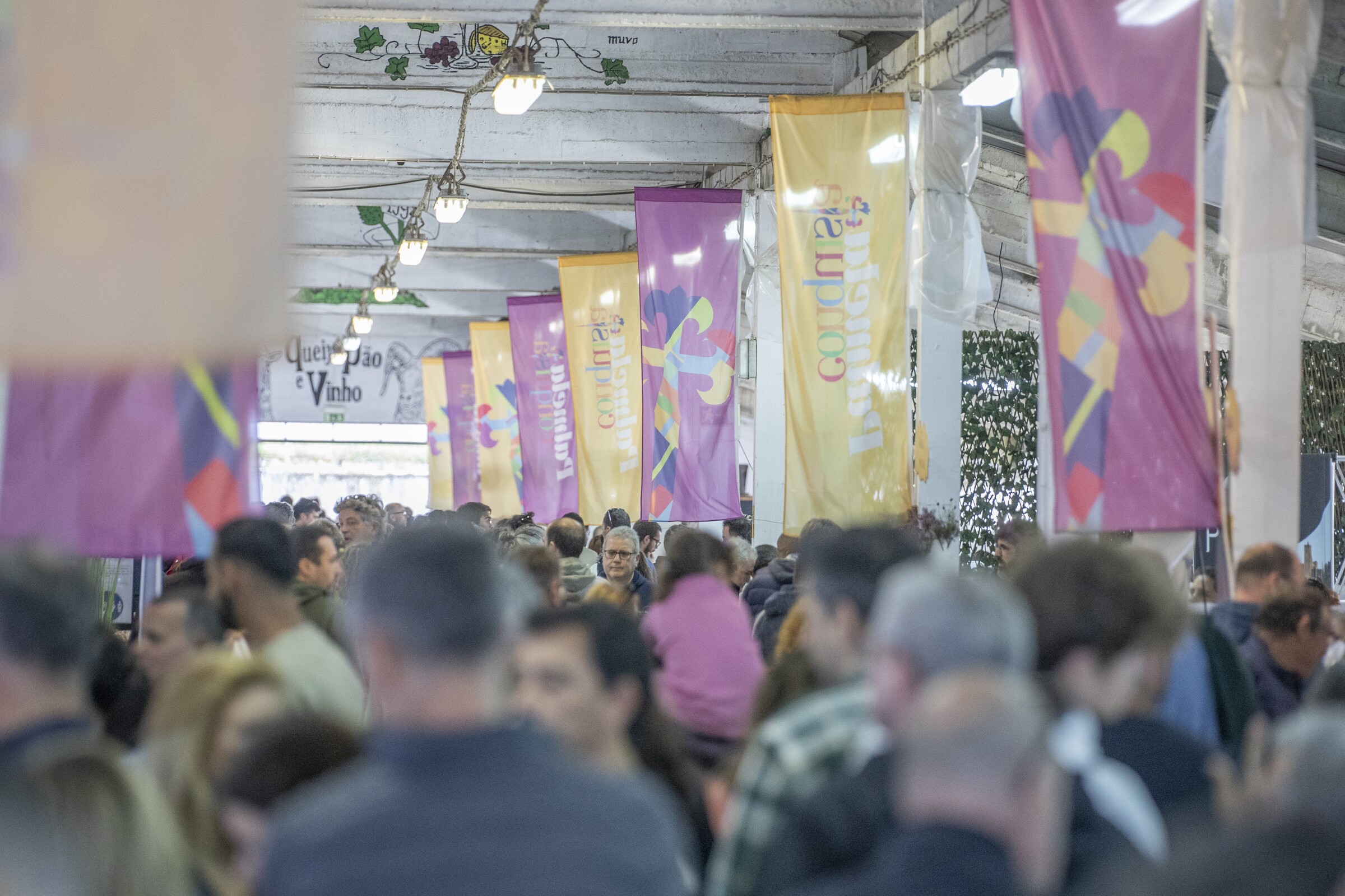 Festival Queijo, Pão e Vinho recebe 17 mil visitantes