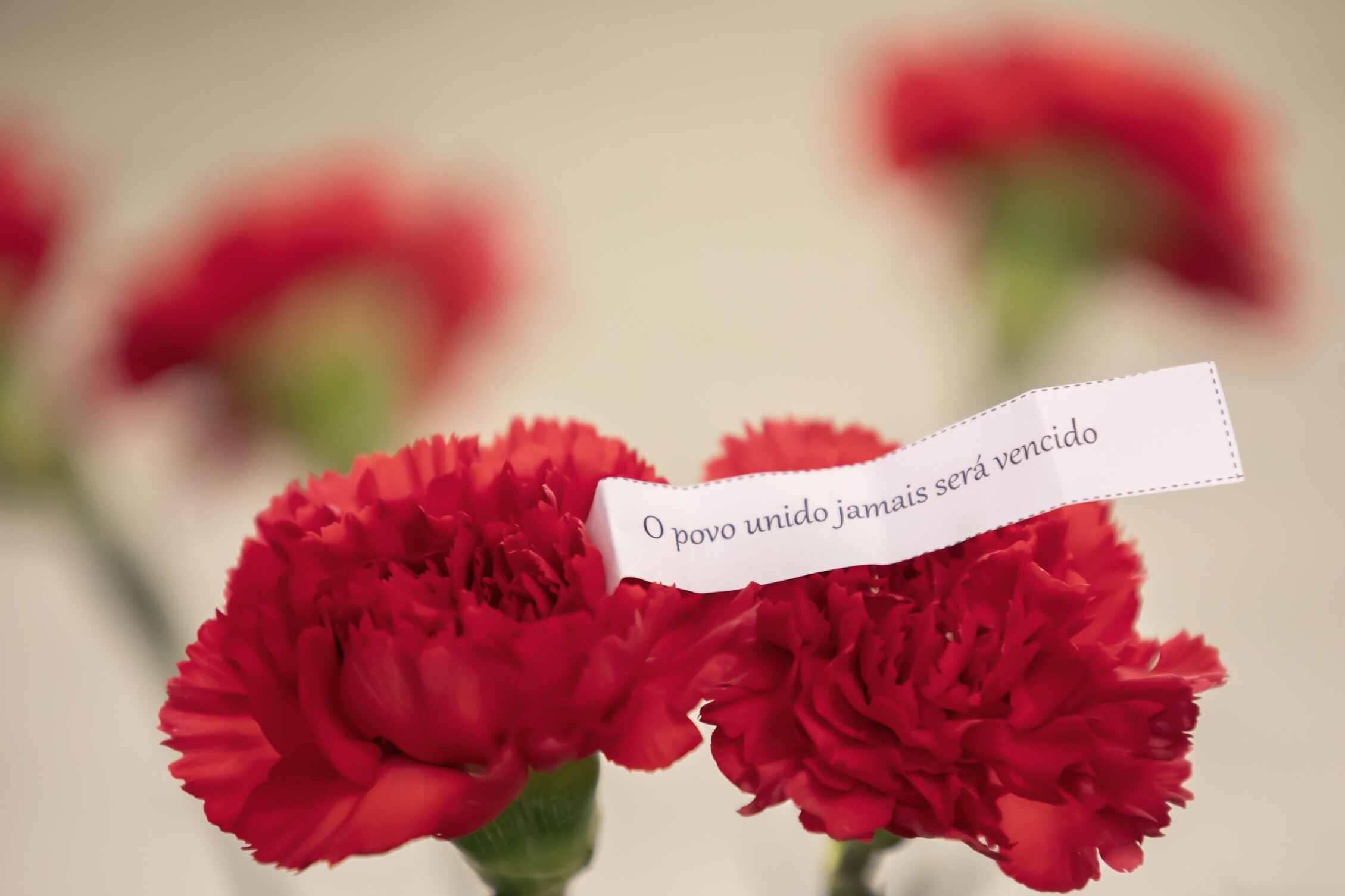 Município de Palmela saúda 25 de Abril e 1.º de Maio