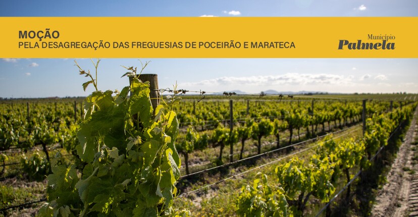 Município aprova moção pela desagregação das freguesias de Poceirão e Marateca