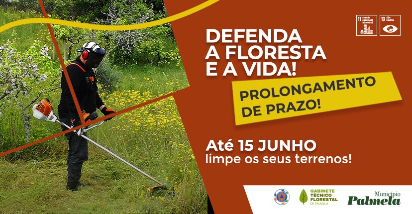 Limpeza de terrenos: prazo prolongado até 15 de junho