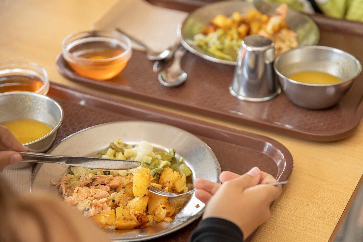 Câmara adjudica fornecimento de 645.628 refeições escolares/ano letivo para rede pública