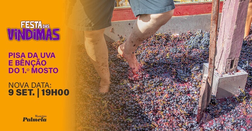 Festa das Vindimas: Pisa da Uva e Bênção do 1.º Mosto reagendadas para 9 setembro