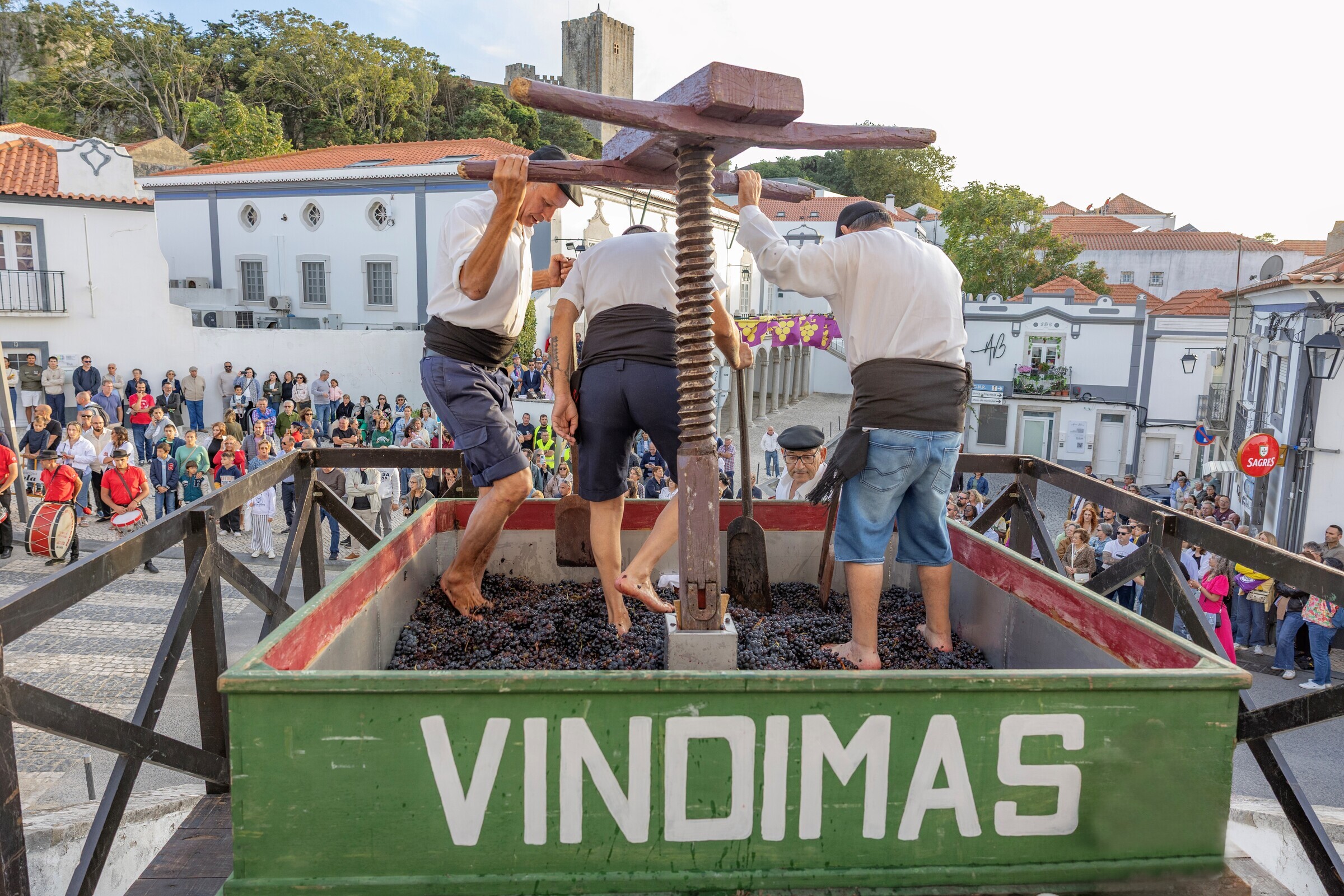 Festa das Vindimas reafirma Palmela como Terra Mãe de Vinhos